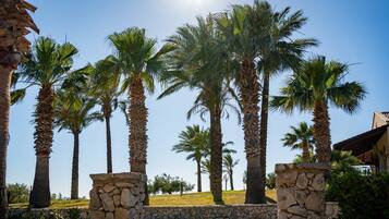 Área da propriedade