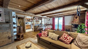 Télévision, cheminée, lecteur de DVD, livres