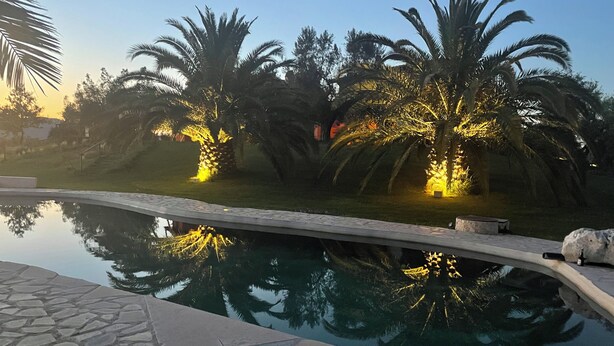 A swimming pool with stone tiles, surrounded by palm trees and a clear sky.