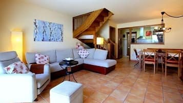 Smart TV, fireplace, DVD player, books