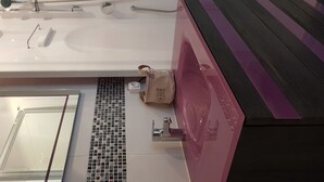 Une salle de bain moderne avec un lavabo blanc, un miroir et un espace douche.