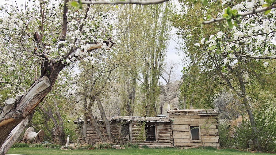 Hidden Canyon Retreat