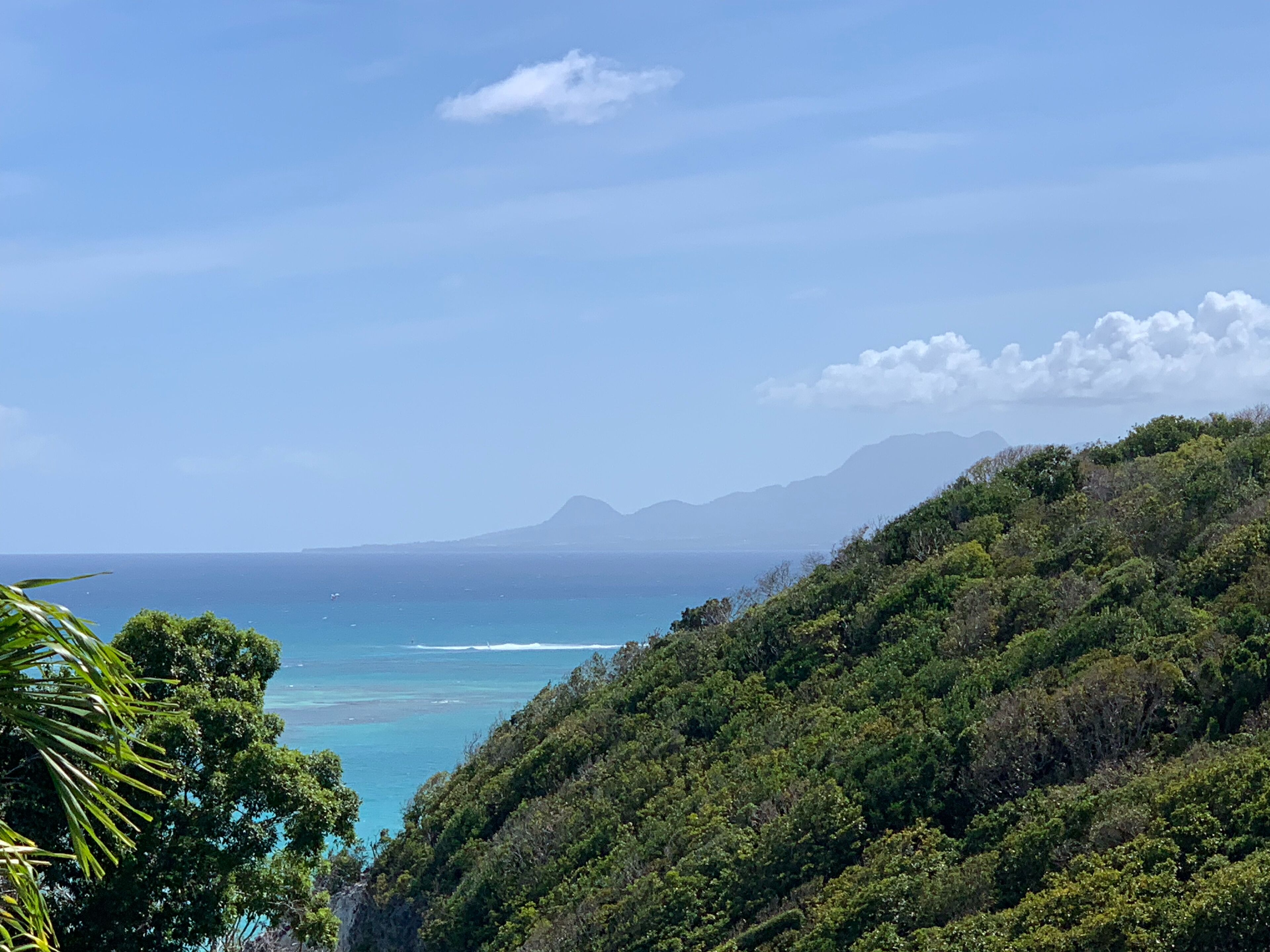 A coastal landscape with dense green vegetation and a view of the ocean.