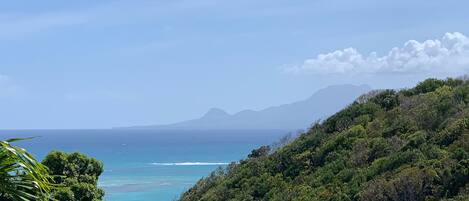 A coastal landscape with dense green vegetation and a view of the ocean.
