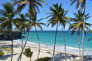 A beach with palm trees and clear blue water. - Sweet Jewel Apartments in Silver Sands!! - The Frangipani Apartment  (Silver Sands)