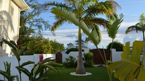Un jardin bien entretenu, agrémenté d’un palmier, de diverses plantes tropicales et d’une clôture blanche.