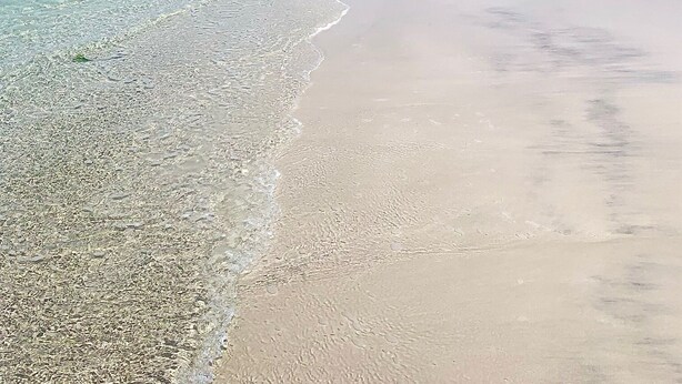 A beach with clear shallow waters and a sandy shore. - Villa with pool, stunning sea views, with own chef and staff on request (Msambweni)