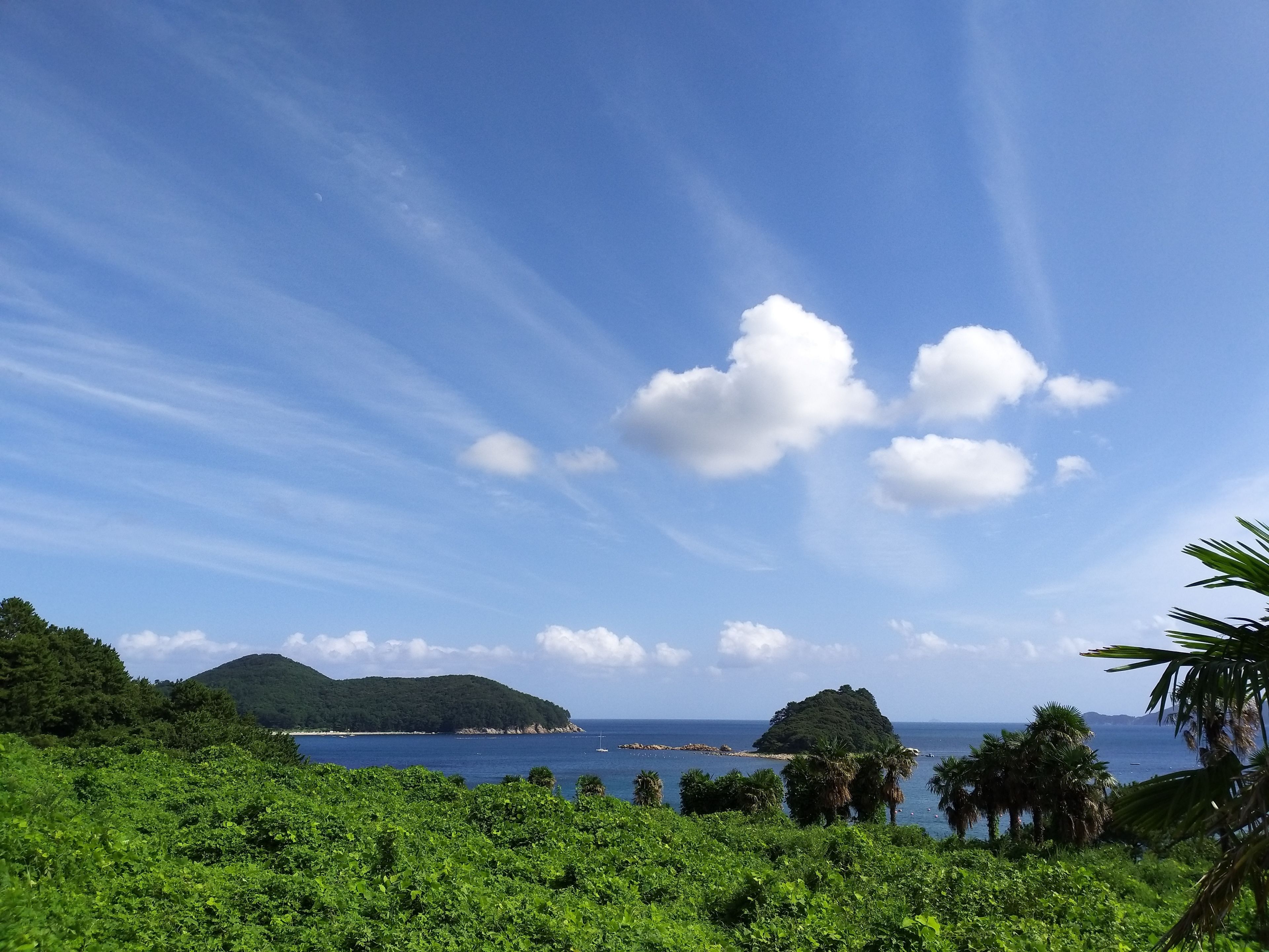 Eine Küstenlandschaft mit üppiger Vegetation, einem klaren, blauen Himmel und einem Blick auf das Meer in der Ferne.