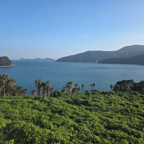 A coastal landscape with a clear view of the sea, green vegetation, and distant hills.