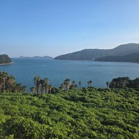 Un paisaje costero con vista despejada al mar, vegetación verde y colinas distantes.