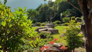 A garden with various plants, rocks, and a tree. - A day in Geoje Pension (Geoje)