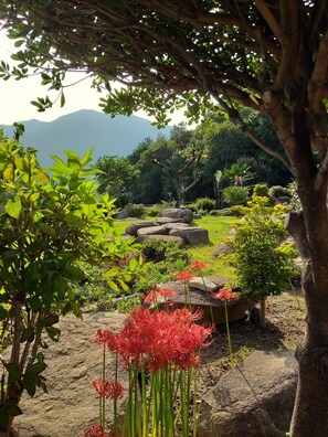 Garden - A day in Geoje Pension (Geoje)