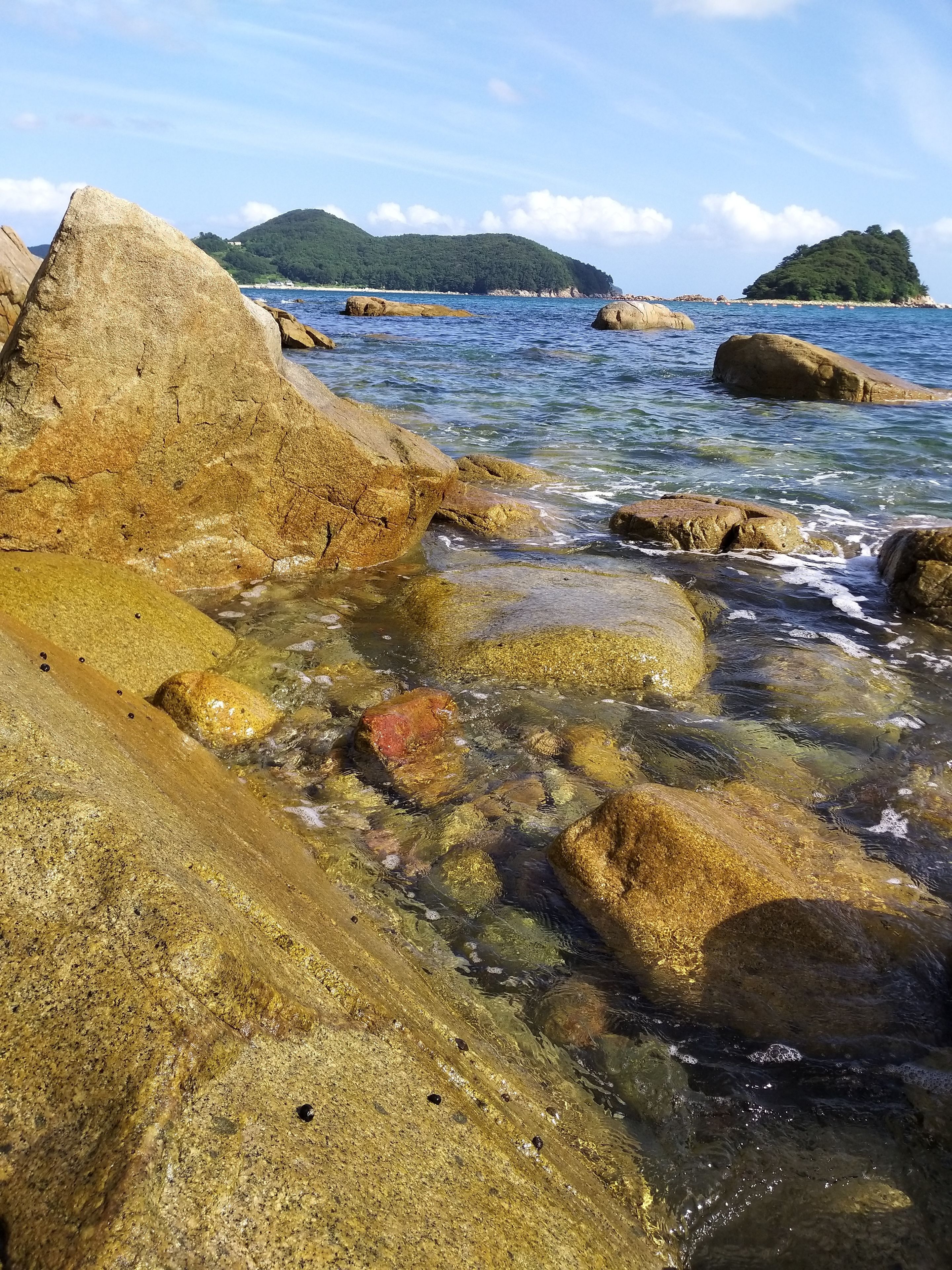A rocky shoreline with clear water and distant green hills.