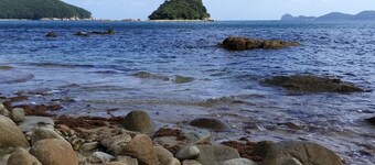 อะ เดย์ อิน กอเจ เพนชั่น