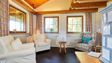 TV, fireplace, DVD player, books