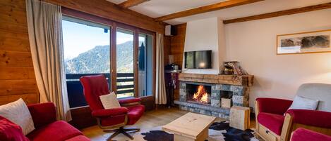 TV, fireplace, DVD player