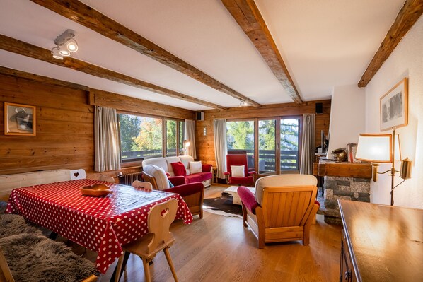 TV, fireplace, DVD player