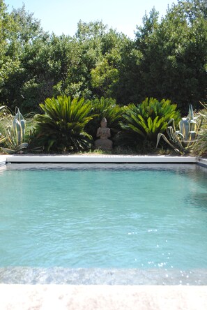 A swimming pool with a Buddha statue in the center surrounded by lush greenery.