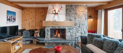 TV, fireplace, DVD player