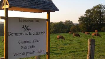 Enceinte de l’hébergement