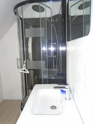 Bathtub, hair dryer, towels, toilet paper
