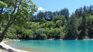 A beach with clear turquoise water, surrounded by dense green forest.