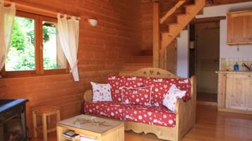 Télévision, cheminée, livres