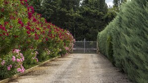A gravel path leading to a gated entrance surrounded by dense green foliage and vibrant pink flowers. - Maisonnette with private pool in the Alpilles (Maussane-Les-Alpilles)