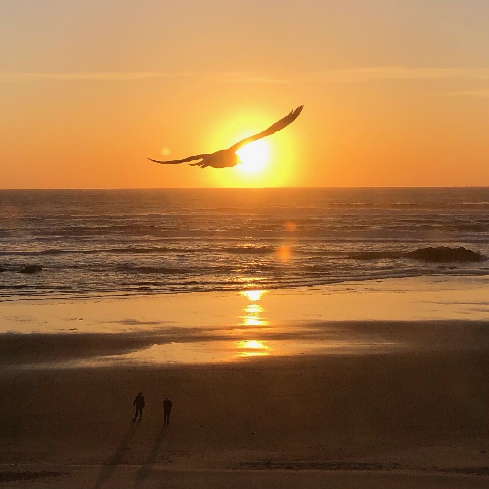 Atardecer sobre una playa con dos personas caminando.