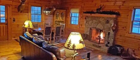 Televisor intel·ligent, llar de foc, reproductor de DVD i llibres