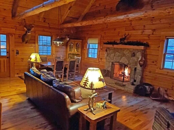 Smart TV, fireplace, DVD player, books