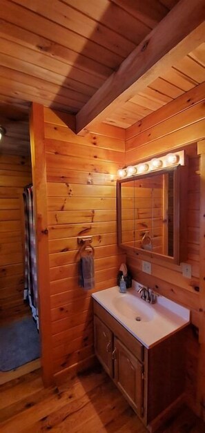 Combined shower/bathtub, hair dryer, towels