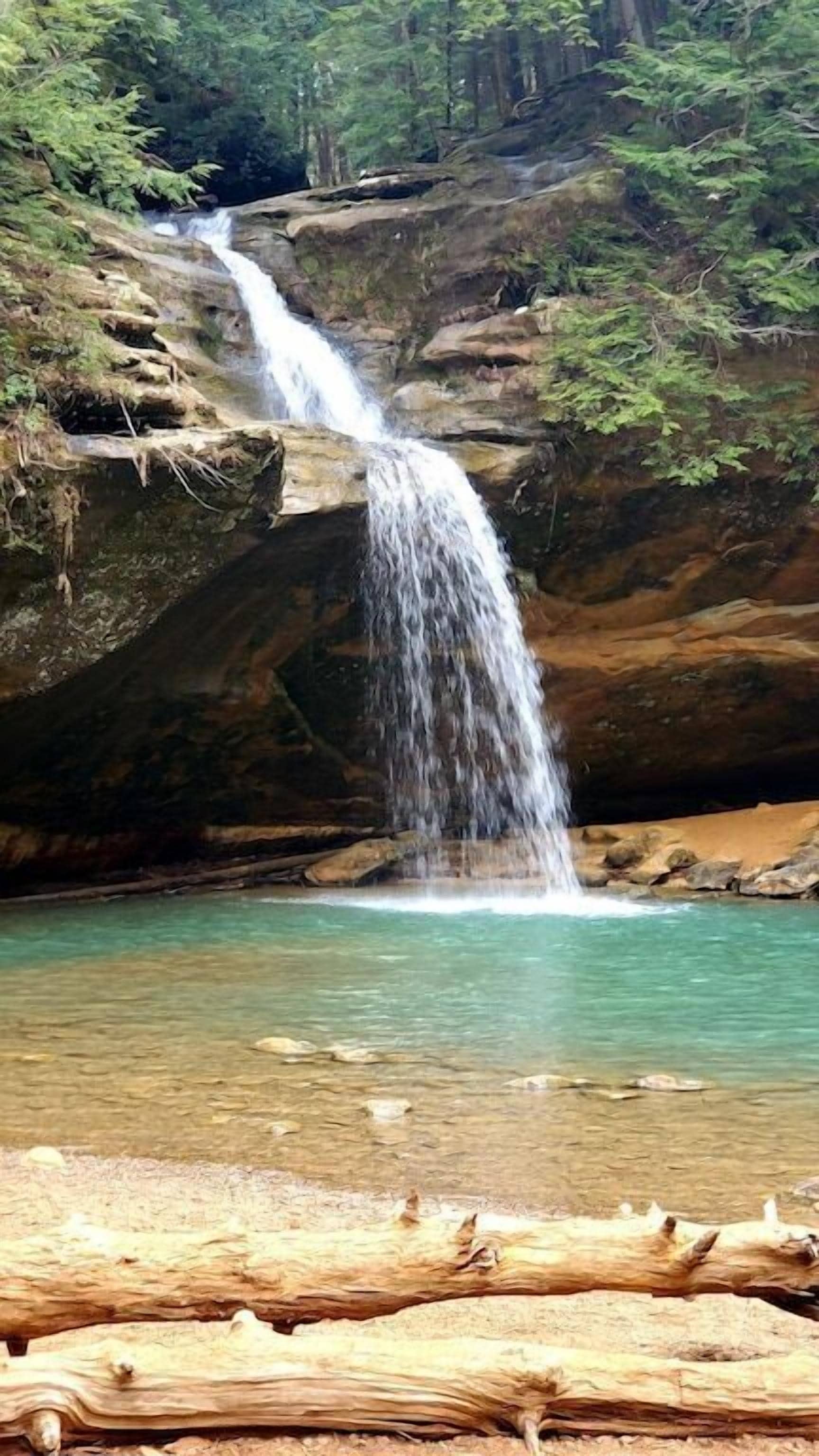A waterfall cascading into a clear pool surrounded by rocky terrain and forested area.