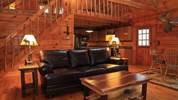 Smart TV, fireplace, DVD player, books