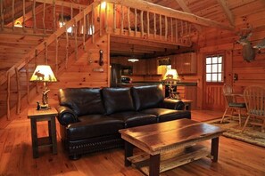 Smart TV, fireplace, DVD player, books