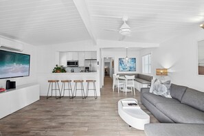 Smart TV, fireplace, DVD player, books