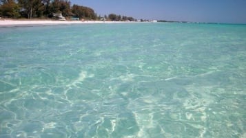 On peut clairement voir une plage avec une eau turquoise, du sable blanc et une rangée d’arbres en arrière-plan.