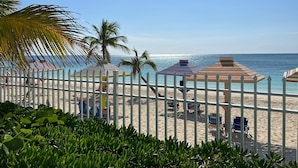 A beach with a white fence, umbrellas, and lounge chairs. - Beach Front Studio For Rent in Freeport Grand Bahamas , Port Lucaya (Freeport)