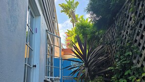 Une ruelle étroite avec une porte bleue, un pot de fleurs et un banc en béton.