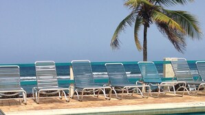 Un espace piscine doté de chaises longues et d’un palmier, avec vue sur l’océan.