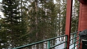 Un espacio al aire libre cubierto con barandilla de metal verde, suelo de hormigón y vista a terreno y árboles cubiertos de nieve.