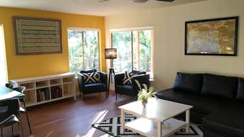 TV, video games, DVD player, books