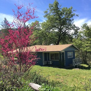 Exterior -  Private Yosemite County home. On 40 Acres! (Mariposa)
