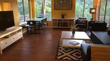 TV, video games, DVD player, books