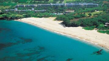 Chaises longues, serviettes de plage