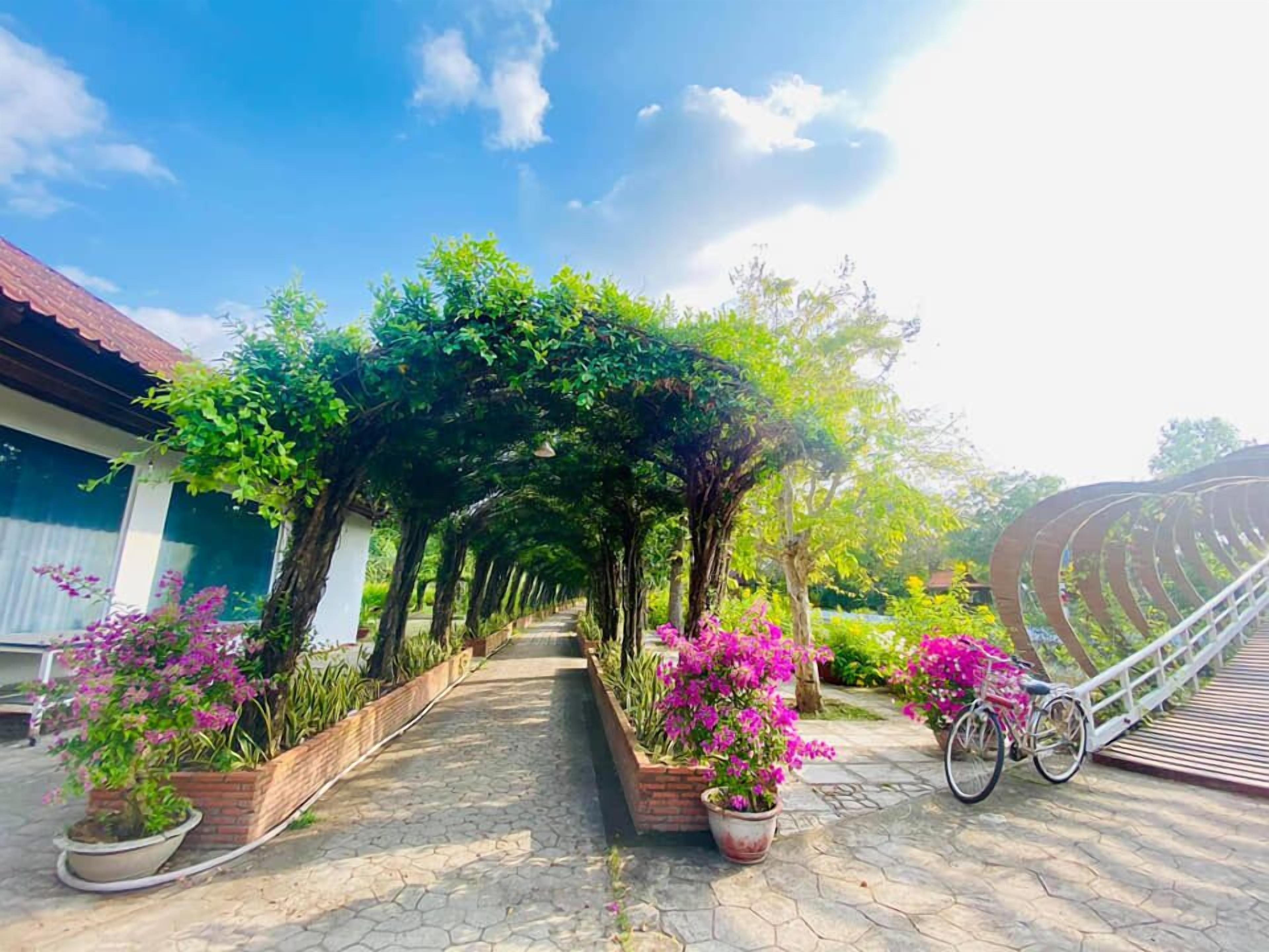 A pathway lined with potted plants and a bicycle, leading to a covered area with trees.