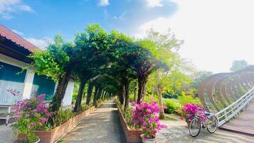 A pathway lined with potted plants and a bicycle, leading to a covered area with trees.
