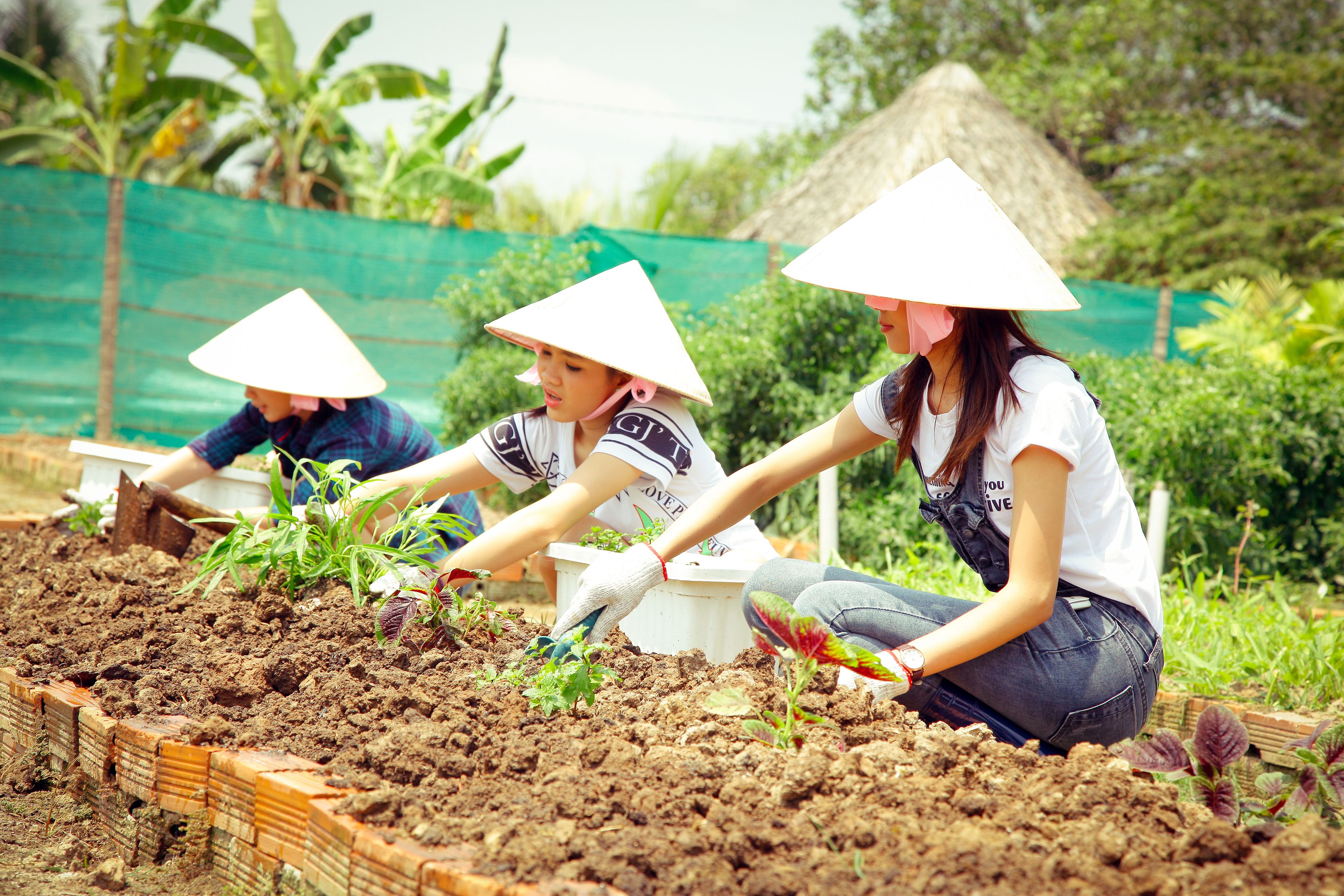 Three individuals planting in a garden with wooden raised beds and a green netted background.