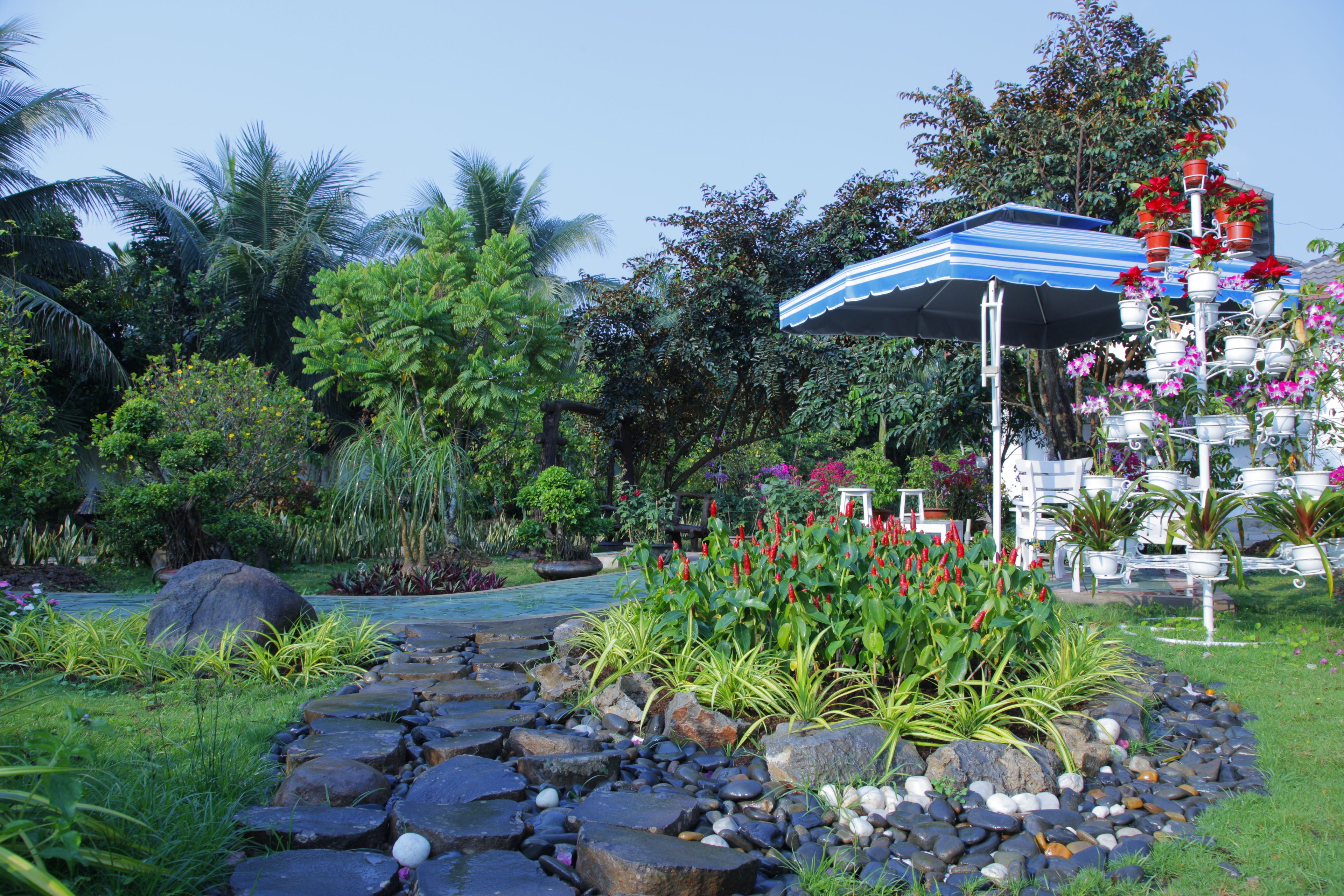 A garden with a stone pathway, tropical plants, and a seating area with a striped umbrella.