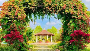 A gazebo with a tiled roof, surrounded by lush greenery and flowering plants. - Forever Green Resort (Phu Tuc)